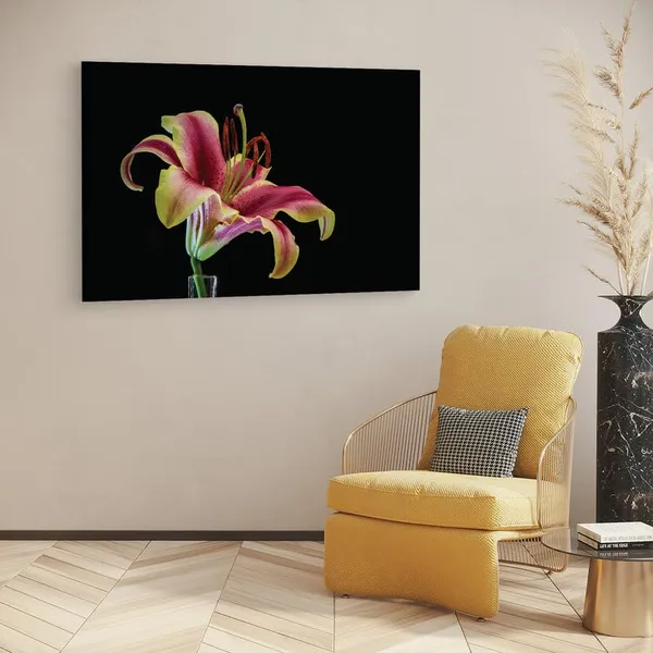 Multicolor_16_X_24_Inch,_Pine_Wood_Framed_Canvas_Paintings_|_For_Home_Decor,_Ready_To_Wall_Hanging,_Premium_Painting_|_For_|_Bedroom,_Living_Room,_Office_Wall_Decoration_|_Wall_Art_Painting,_Ct1617