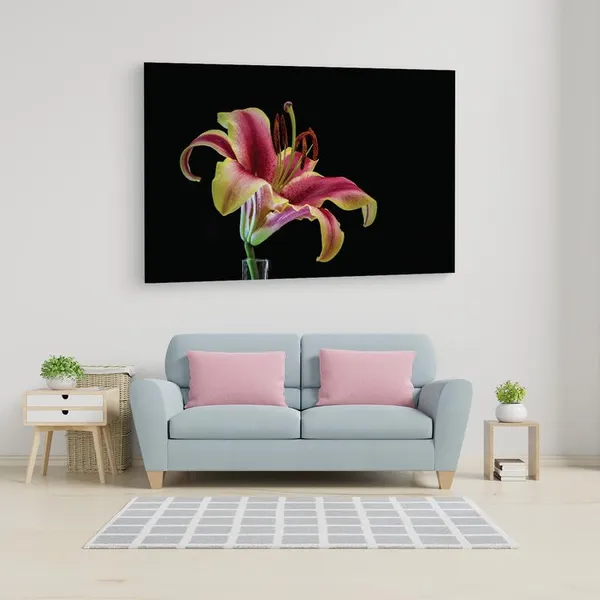 Multicolor_16_X_24_Inch,_Pine_Wood_Framed_Canvas_Paintings_|_For_Home_Decor,_Ready_To_Wall_Hanging,_Premium_Painting_|_For_|_Bedroom,_Living_Room,_Office_Wall_Decoration_|_Wall_Art_Painting,_Ct1617