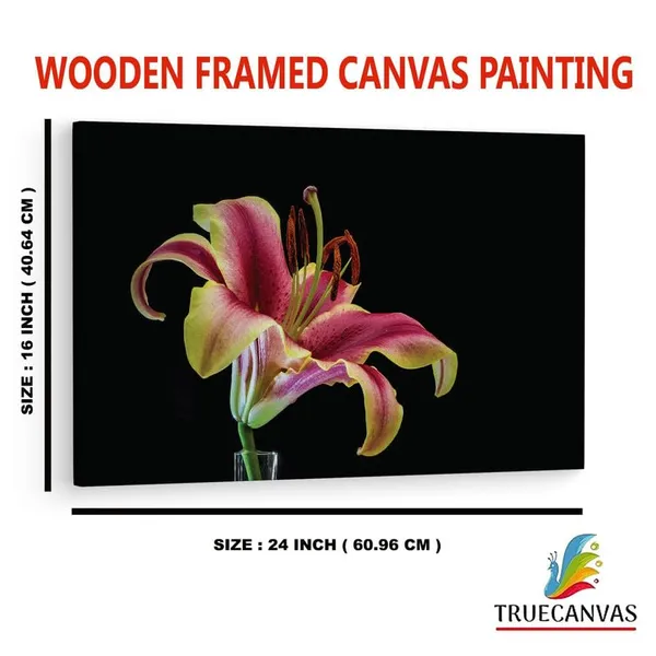 Multicolor_16_X_24_Inch,_Pine_Wood_Framed_Canvas_Paintings_|_For_Home_Decor,_Ready_To_Wall_Hanging,_Premium_Painting_|_For_|_Bedroom,_Living_Room,_Office_Wall_Decoration_|_Wall_Art_Painting,_Ct1617