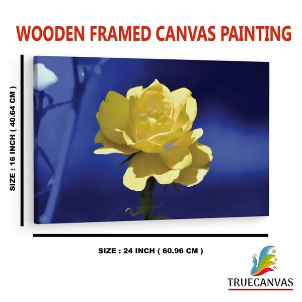 Multicolor_16_X_24_Inch,_Pine_Wood_Framed_Canvas_Paintings_|_For_Home_Decor,_Ready_To_Wall_Hanging,_Premium_Painting_|_For_|_Bedroom,_Living_Room,_Office_Wall_Decoration_|_Wall_Art_Painting,_Ct1619