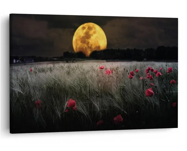 Multicolor_16_X_24_Inch,_Pine_Wood_Framed_Canvas_Paintings_|_For_Home_Decor,_Ready_To_Wall_Hanging,_Premium_Painting_|_For_|_Bedroom,_Living_Room,_Office_Wall_Decoration_|_Wall_Art_Painting,_Ct1621