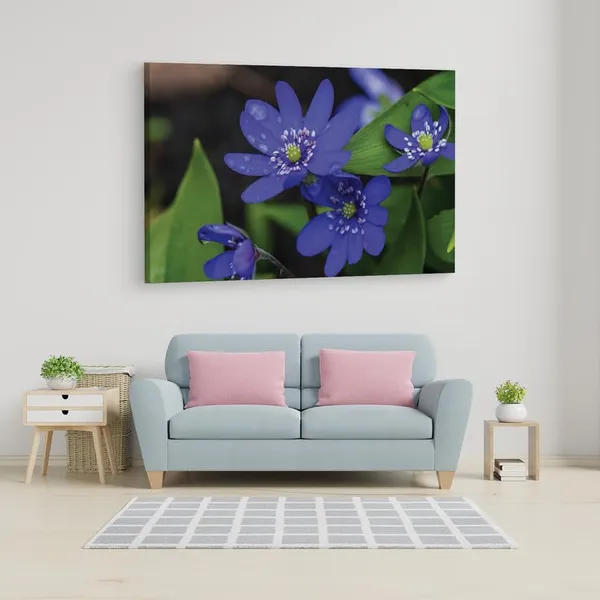 Multicolor_16_X_24_Inch,_Pine_Wood_Framed_Canvas_Paintings_|_For_Home_Decor,_Ready_To_Wall_Hanging,_Premium_Painting_|_For_|_Bedroom,_Living_Room,_Office_Wall_Decoration_|_Wall_Art_Painting,_Ct1622
