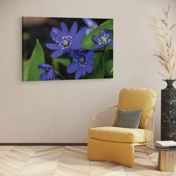 Multicolor_16_X_24_Inch,_Pine_Wood_Framed_Canvas_Paintings_|_For_Home_Decor,_Ready_To_Wall_Hanging,_Premium_Painting_|_For_|_Bedroom,_Living_Room,_Office_Wall_Decoration_|_Wall_Art_Painting,_Ct1622