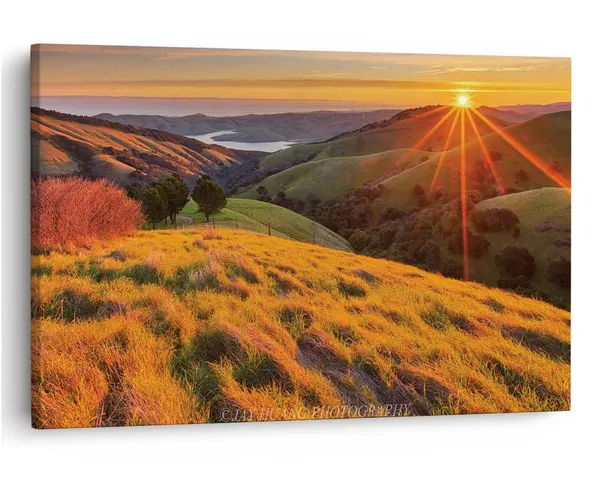 Multicolor_16_X_24_Inch,_Pine_Wood_Framed_Canvas_Paintings_|_For_Home_Decor,_Ready_To_Wall_Hanging,_Premium_Painting_|_For_|_Bedroom,_Living_Room,_Office_Wall_Decoration_|_Wall_Art_Painting,_Ct1623