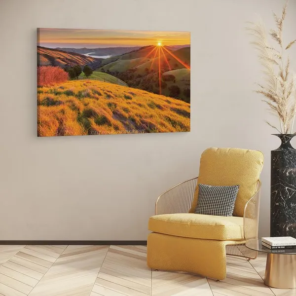 Multicolor_16_X_24_Inch,_Pine_Wood_Framed_Canvas_Paintings_|_For_Home_Decor,_Ready_To_Wall_Hanging,_Premium_Painting_|_For_|_Bedroom,_Living_Room,_Office_Wall_Decoration_|_Wall_Art_Painting,_Ct1623