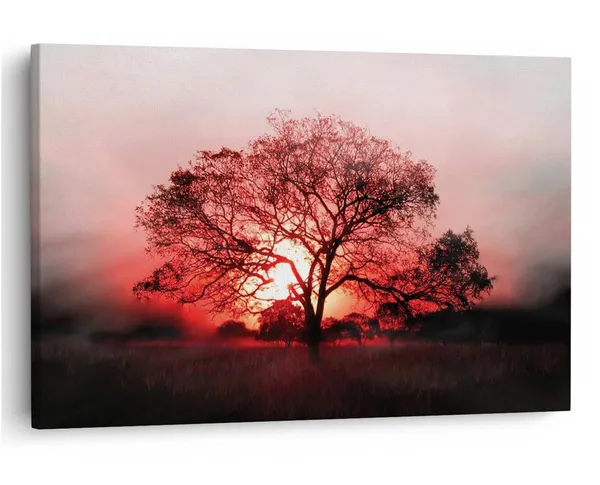 Multicolor_16_X_24_Inch,_Pine_Wood_Framed_Canvas_Paintings_|_For_Home_Decor,_Ready_To_Wall_Hanging,_Premium_Painting_|_For_|_Bedroom,_Living_Room,_Office_Wall_Decoration_|_Wall_Art_Painting,_Ct1624