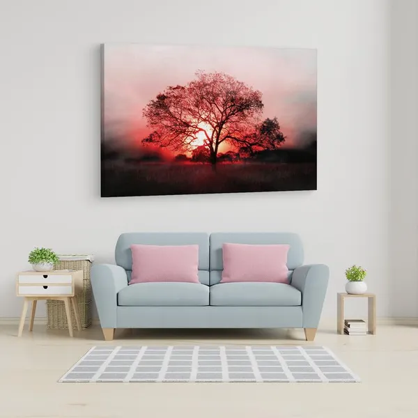 Multicolor_16_X_24_Inch,_Pine_Wood_Framed_Canvas_Paintings_|_For_Home_Decor,_Ready_To_Wall_Hanging,_Premium_Painting_|_For_|_Bedroom,_Living_Room,_Office_Wall_Decoration_|_Wall_Art_Painting,_Ct1624