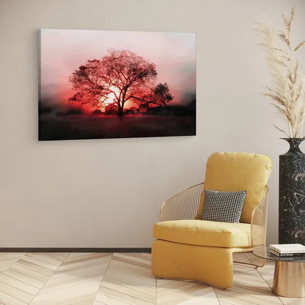 Multicolor_16_X_24_Inch,_Pine_Wood_Framed_Canvas_Paintings_|_For_Home_Decor,_Ready_To_Wall_Hanging,_Premium_Painting_|_For_|_Bedroom,_Living_Room,_Office_Wall_Decoration_|_Wall_Art_Painting,_Ct1624
