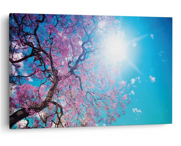 Multicolor_16_X_24_Inch,_Pine_Wood_Framed_Canvas_Paintings_|_For_Home_Decor,_Ready_To_Wall_Hanging,_Premium_Painting_|_For_|_Bedroom,_Living_Room,_Office_Wall_Decoration_|_Wall_Art_Painting,_Ct1626