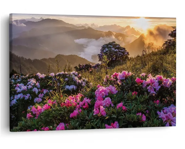 Multicolor_16_X_24_Inch,_Pine_Wood_Framed_Canvas_Paintings_|_For_Home_Decor,_Ready_To_Wall_Hanging,_Premium_Painting_|_For_|_Bedroom,_Living_Room,_Office_Wall_Decoration_|_Wall_Art_Painting,_Ct1627