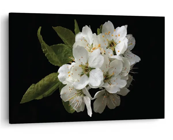 Multicolor_16_X_24_Inch,_Pine_Wood_Framed_Canvas_Paintings_|_For_Home_Decor,_Ready_To_Wall_Hanging,_Premium_Painting_|_For_|_Bedroom,_Living_Room,_Office_Wall_Decoration_|_Wall_Art_Painting,_Ct1628