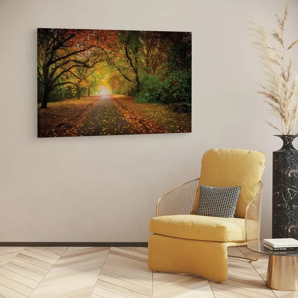 Multicolor_16_X_24_Inch,_Pine_Wood_Framed_Canvas_Paintings_|_For_Home_Decor,_Ready_To_Wall_Hanging,_Premium_Painting_|_For_|_Bedroom,_Living_Room,_Office_Wall_Decoration_|_Wall_Art_Painting,_Ct1630