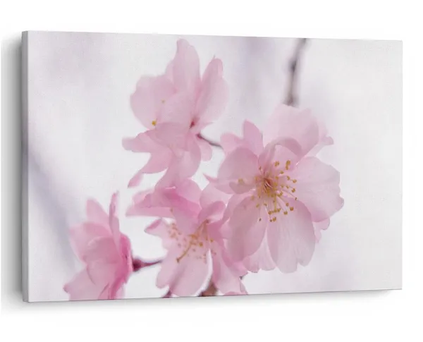 Multicolor_16_X_24_Inch,_Pine_Wood_Framed_Canvas_Paintings_|_For_Home_Decor,_Ready_To_Wall_Hanging,_Premium_Painting_|_For_|_Bedroom,_Living_Room,_Office_Wall_Decoration_|_Wall_Art_Painting,_Ct1631