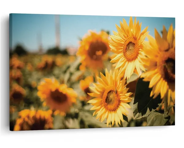 Multicolor_16_X_24_Inch,_Pine_Wood_Framed_Canvas_Paintings_|_For_Home_Decor,_Ready_To_Wall_Hanging,_Premium_Painting_|_For_|_Bedroom,_Living_Room,_Office_Wall_Decoration_|_Wall_Art_Painting,_Ct1637