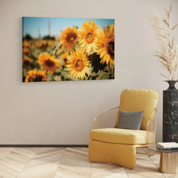 Multicolor_16_X_24_Inch,_Pine_Wood_Framed_Canvas_Paintings_|_For_Home_Decor,_Ready_To_Wall_Hanging,_Premium_Painting_|_For_|_Bedroom,_Living_Room,_Office_Wall_Decoration_|_Wall_Art_Painting,_Ct1637