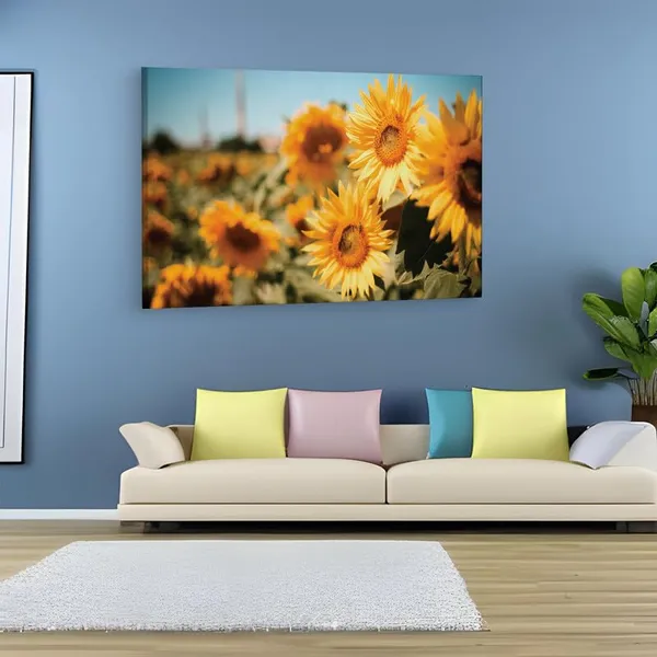 Multicolor_16_X_24_Inch,_Pine_Wood_Framed_Canvas_Paintings_|_For_Home_Decor,_Ready_To_Wall_Hanging,_Premium_Painting_|_For_|_Bedroom,_Living_Room,_Office_Wall_Decoration_|_Wall_Art_Painting,_Ct1637