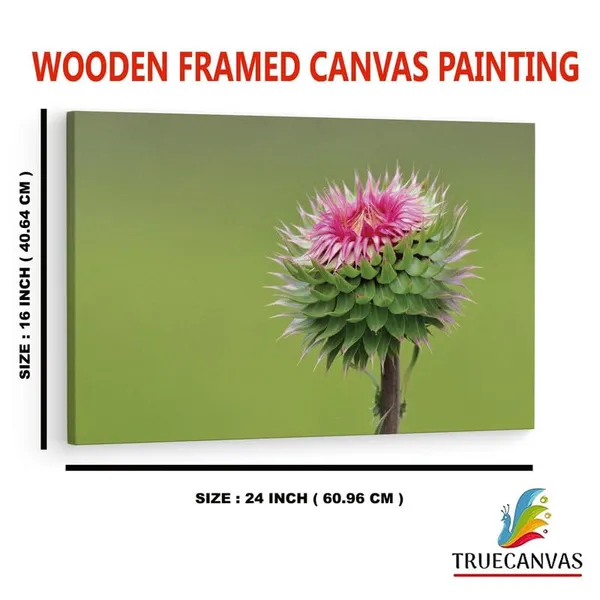 Multicolor_16_X_24_Inch,_Pine_Wood_Framed_Canvas_Paintings_|_For_Home_Decor,_Ready_To_Wall_Hanging,_Premium_Painting_|_For_|_Bedroom,_Living_Room,_Office_Wall_Decoration_|_Wall_Art_Painting,_Ct1642