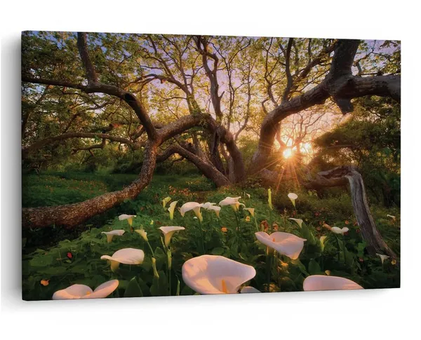 Multicolor_16_X_24_Inch,_Pine_Wood_Framed_Canvas_Paintings_|_For_Home_Decor,_Ready_To_Wall_Hanging,_Premium_Painting_|_For_|_Bedroom,_Living_Room,_Office_Wall_Decoration_|_Wall_Art_Painting,_Ct1643