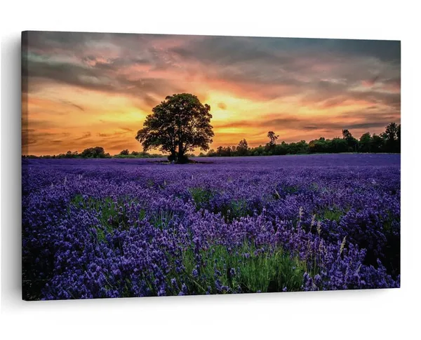 Multicolor_16_X_24_Inch,_Pine_Wood_Framed_Canvas_Paintings_|_For_Home_Decor,_Ready_To_Wall_Hanging,_Premium_Painting_|_For_|_Bedroom,_Living_Room,_Office_Wall_Decoration_|_Wall_Art_Painting,_Ct1646