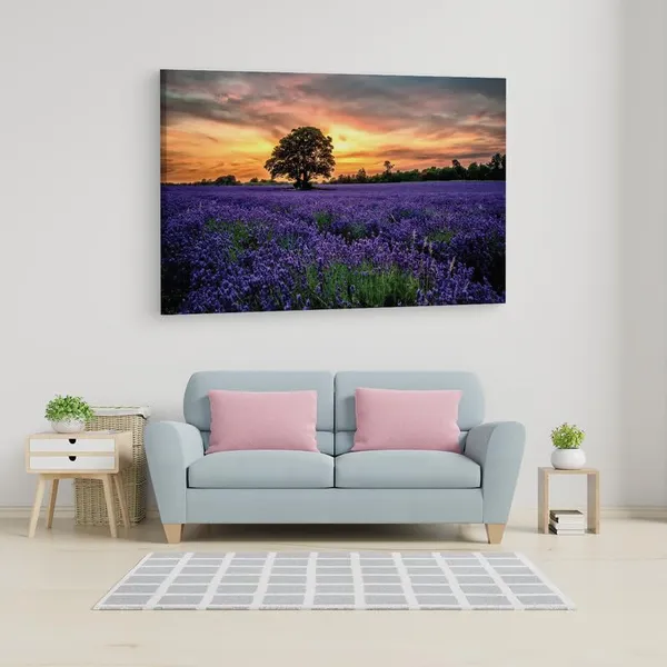 Multicolor_16_X_24_Inch,_Pine_Wood_Framed_Canvas_Paintings_|_For_Home_Decor,_Ready_To_Wall_Hanging,_Premium_Painting_|_For_|_Bedroom,_Living_Room,_Office_Wall_Decoration_|_Wall_Art_Painting,_Ct1646