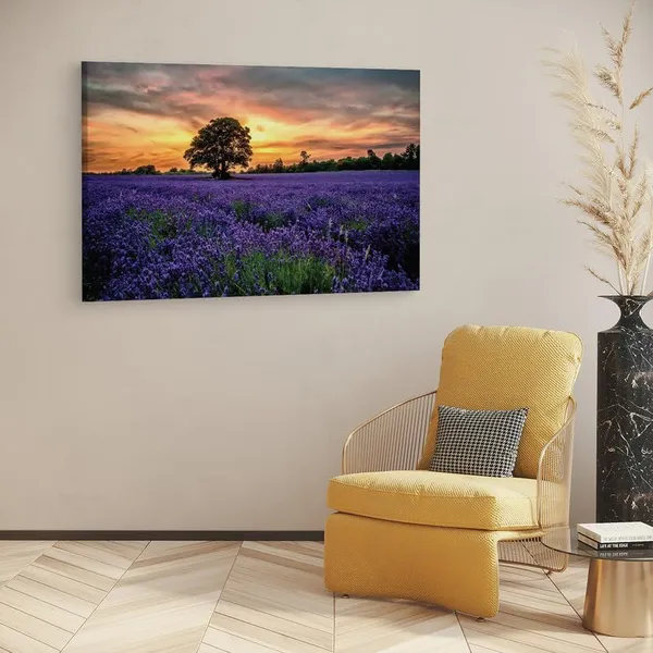 Multicolor_16_X_24_Inch,_Pine_Wood_Framed_Canvas_Paintings_|_For_Home_Decor,_Ready_To_Wall_Hanging,_Premium_Painting_|_For_|_Bedroom,_Living_Room,_Office_Wall_Decoration_|_Wall_Art_Painting,_Ct1646