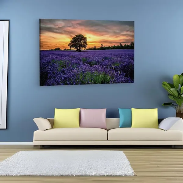 Multicolor_16_X_24_Inch,_Pine_Wood_Framed_Canvas_Paintings_|_For_Home_Decor,_Ready_To_Wall_Hanging,_Premium_Painting_|_For_|_Bedroom,_Living_Room,_Office_Wall_Decoration_|_Wall_Art_Painting,_Ct1646