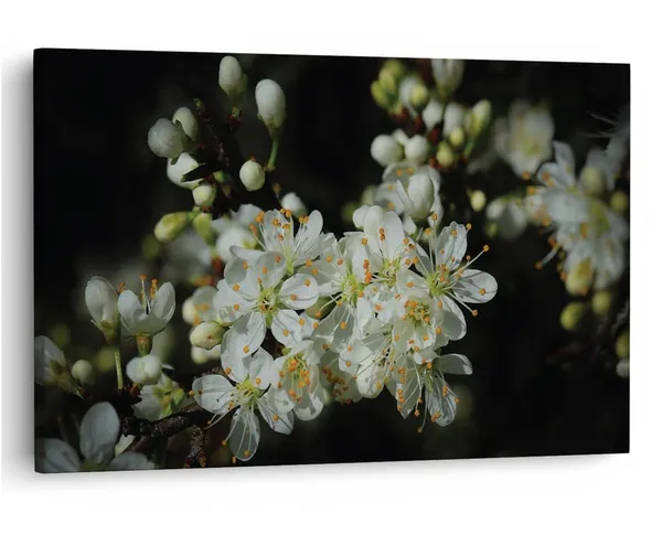 Multicolor_16_X_24_Inch,_Pine_Wood_Framed_Canvas_Paintings_|_For_Home_Decor,_Ready_To_Wall_Hanging,_Premium_Painting_|_For_|_Bedroom,_Living_Room,_Office_Wall_Decoration_|_Wall_Art_Painting,_Ct1647