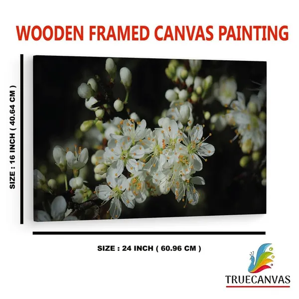 Multicolor_16_X_24_Inch,_Pine_Wood_Framed_Canvas_Paintings_|_For_Home_Decor,_Ready_To_Wall_Hanging,_Premium_Painting_|_For_|_Bedroom,_Living_Room,_Office_Wall_Decoration_|_Wall_Art_Painting,_Ct1647