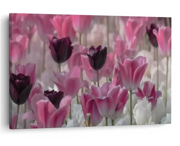 Multicolor_16_X_24_Inch,_Pine_Wood_Framed_Canvas_Paintings_|_For_Home_Decor,_Ready_To_Wall_Hanging,_Premium_Painting_|_For_|_Bedroom,_Living_Room,_Office_Wall_Decoration_|_Wall_Art_Painting,_Ct1649