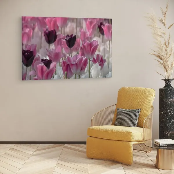 Multicolor_16_X_24_Inch,_Pine_Wood_Framed_Canvas_Paintings_|_For_Home_Decor,_Ready_To_Wall_Hanging,_Premium_Painting_|_For_|_Bedroom,_Living_Room,_Office_Wall_Decoration_|_Wall_Art_Painting,_Ct1649