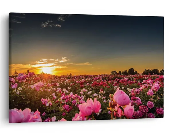 Multicolor_16_X_24_Inch,_Pine_Wood_Framed_Canvas_Paintings_|_For_Home_Decor,_Ready_To_Wall_Hanging,_Premium_Painting_|_For_|_Bedroom,_Living_Room,_Office_Wall_Decoration_|_Wall_Art_Painting,_Ct1654