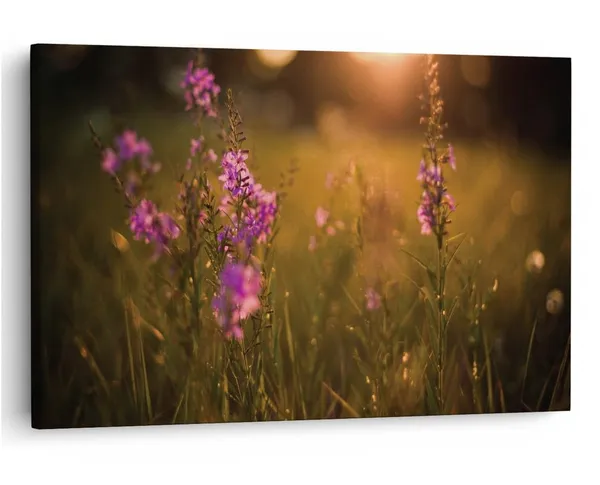 Multicolor_16_X_24_Inch,_Pine_Wood_Framed_Canvas_Paintings_|_For_Home_Decor,_Ready_To_Wall_Hanging,_Premium_Painting_|_For_|_Bedroom,_Living_Room,_Office_Wall_Decoration_|_Wall_Art_Painting,_Ct1657