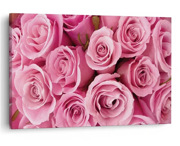 Multicolor_16_X_24_Inch,_Pine_Wood_Framed_Canvas_Paintings_|_For_Home_Decor,_Ready_To_Wall_Hanging,_Premium_Painting_|_For_|_Bedroom,_Living_Room,_Office_Wall_Decoration_|_Wall_Art_Painting,_Ct1658