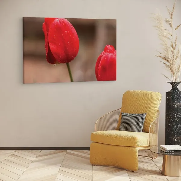 Multicolor_16_X_24_Inch,_Pine_Wood_Framed_Canvas_Paintings_|_For_Home_Decor,_Ready_To_Wall_Hanging,_Premium_Painting_|_For_|_Bedroom,_Living_Room,_Office_Wall_Decoration_|_Wall_Art_Painting,_Ct1659