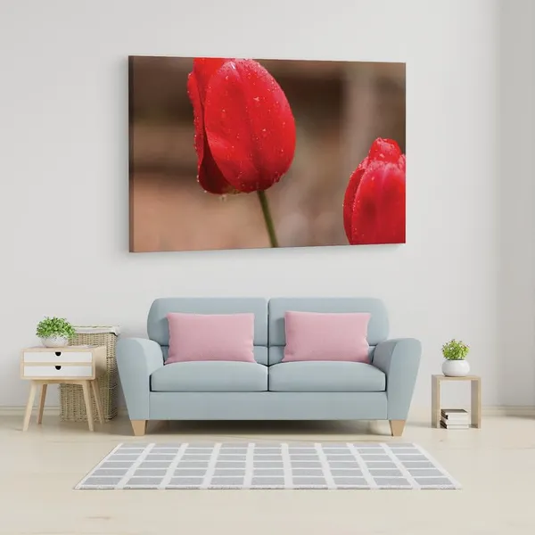 Multicolor_16_X_24_Inch,_Pine_Wood_Framed_Canvas_Paintings_|_For_Home_Decor,_Ready_To_Wall_Hanging,_Premium_Painting_|_For_|_Bedroom,_Living_Room,_Office_Wall_Decoration_|_Wall_Art_Painting,_Ct1659