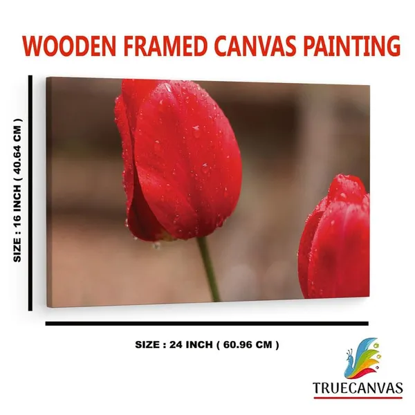 Multicolor_16_X_24_Inch,_Pine_Wood_Framed_Canvas_Paintings_|_For_Home_Decor,_Ready_To_Wall_Hanging,_Premium_Painting_|_For_|_Bedroom,_Living_Room,_Office_Wall_Decoration_|_Wall_Art_Painting,_Ct1659