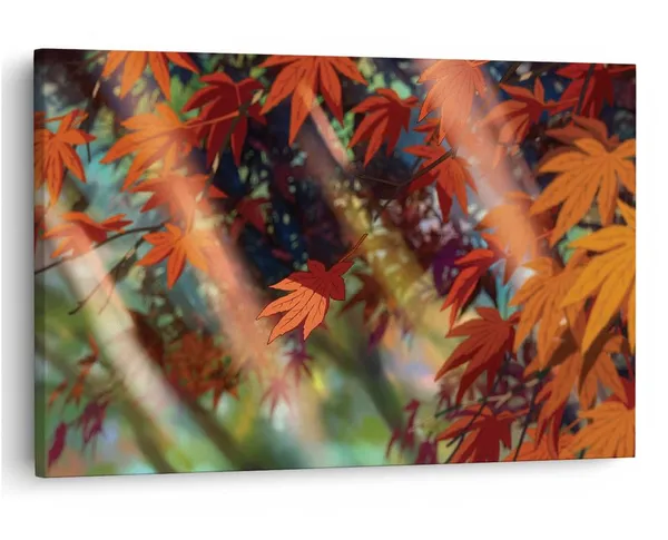 Multicolor_16_X_24_Inch,_Pine_Wood_Framed_Canvas_Paintings_|_For_Home_Decor,_Ready_To_Wall_Hanging,_Premium_Painting_|_For_|_Bedroom,_Living_Room,_Office_Wall_Decoration_|_Wall_Art_Painting,_Ct1660