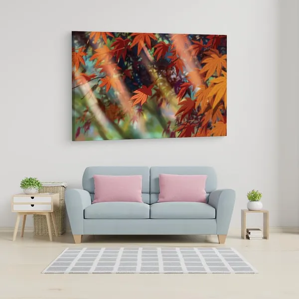 Multicolor_16_X_24_Inch,_Pine_Wood_Framed_Canvas_Paintings_|_For_Home_Decor,_Ready_To_Wall_Hanging,_Premium_Painting_|_For_|_Bedroom,_Living_Room,_Office_Wall_Decoration_|_Wall_Art_Painting,_Ct1660