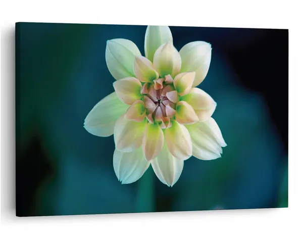 Multicolor_16_X_24_Inch,_Pine_Wood_Framed_Canvas_Paintings_|_For_Home_Decor,_Ready_To_Wall_Hanging,_Premium_Painting_|_For_|_Bedroom,_Living_Room,_Office_Wall_Decoration_|_Wall_Art_Painting,_Ct1661