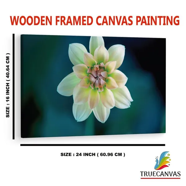 Multicolor_16_X_24_Inch,_Pine_Wood_Framed_Canvas_Paintings_|_For_Home_Decor,_Ready_To_Wall_Hanging,_Premium_Painting_|_For_|_Bedroom,_Living_Room,_Office_Wall_Decoration_|_Wall_Art_Painting,_Ct1661