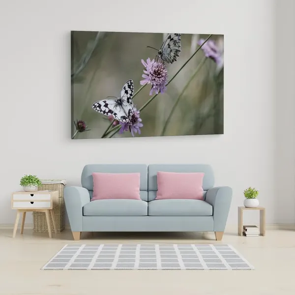 Multicolor_16_X_24_Inch,_Pine_Wood_Framed_Canvas_Paintings_|_For_Home_Decor,_Ready_To_Wall_Hanging,_Premium_Painting_|_For_|_Bedroom,_Living_Room,_Office_Wall_Decoration_|_Wall_Art_Painting,_Ct1662