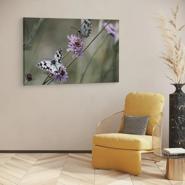 Multicolor_16_X_24_Inch,_Pine_Wood_Framed_Canvas_Paintings_|_For_Home_Decor,_Ready_To_Wall_Hanging,_Premium_Painting_|_For_|_Bedroom,_Living_Room,_Office_Wall_Decoration_|_Wall_Art_Painting,_Ct1662