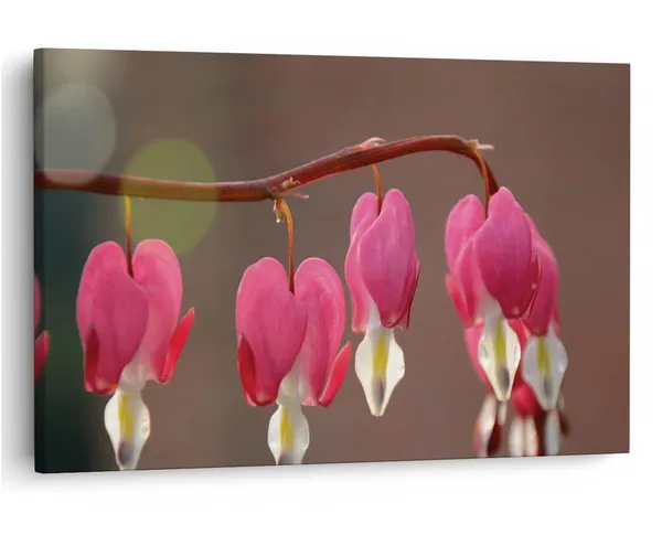Multicolor_16_X_24_Inch,_Pine_Wood_Framed_Canvas_Paintings_|_For_Home_Decor,_Ready_To_Wall_Hanging,_Premium_Painting_|_For_|_Bedroom,_Living_Room,_Office_Wall_Decoration_|_Wall_Art_Painting,_Ct1663