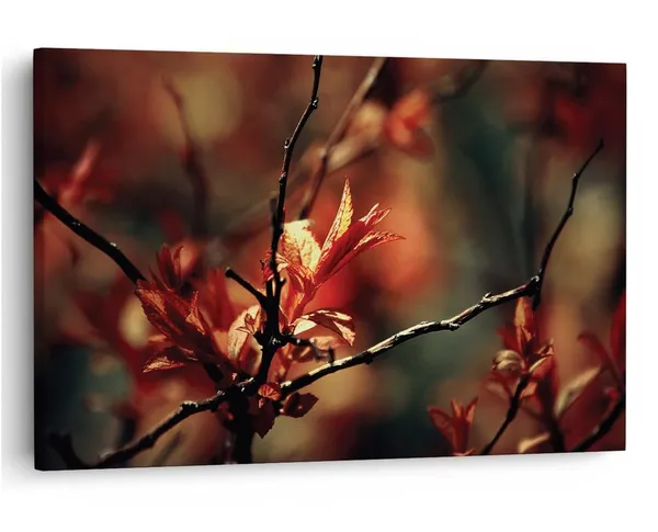 Multicolor_16_X_24_Inch,_Pine_Wood_Framed_Canvas_Paintings_|_For_Home_Decor,_Ready_To_Wall_Hanging,_Premium_Painting_|_For_|_Bedroom,_Living_Room,_Office_Wall_Decoration_|_Wall_Art_Painting,_Ct1666