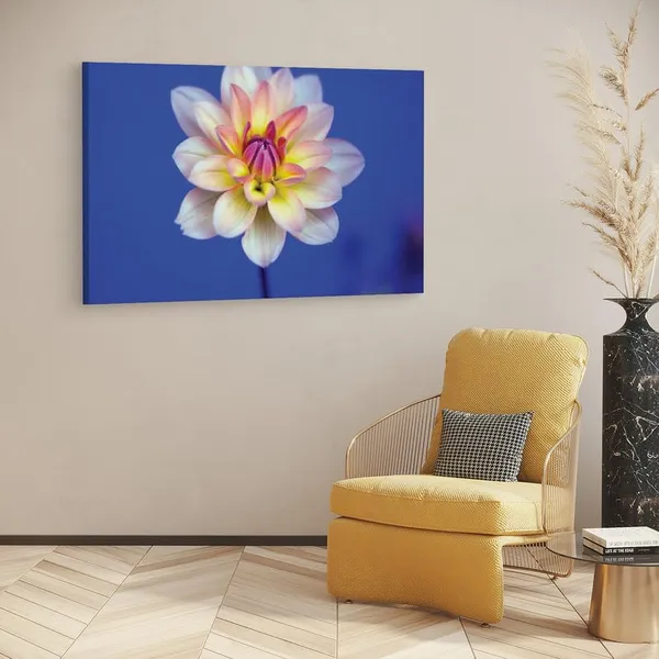 Multicolor_16_X_24_Inch,_Pine_Wood_Framed_Canvas_Paintings_|_For_Home_Decor,_Ready_To_Wall_Hanging,_Premium_Painting_|_For_|_Bedroom,_Living_Room,_Office_Wall_Decoration_|_Wall_Art_Painting,_Ct1671