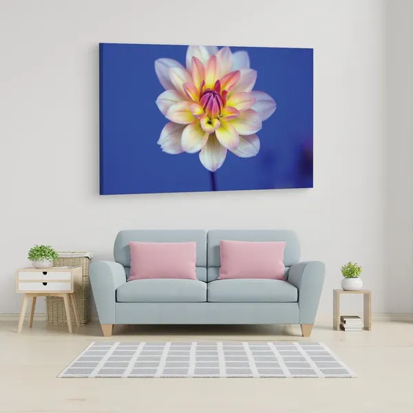 Multicolor_16_X_24_Inch,_Pine_Wood_Framed_Canvas_Paintings_|_For_Home_Decor,_Ready_To_Wall_Hanging,_Premium_Painting_|_For_|_Bedroom,_Living_Room,_Office_Wall_Decoration_|_Wall_Art_Painting,_Ct1671