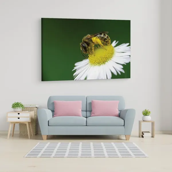 Multicolor_16_X_24_Inch,_Pine_Wood_Framed_Canvas_Paintings_|_For_Home_Decor,_Ready_To_Wall_Hanging,_Premium_Painting_|_For_|_Bedroom,_Living_Room,_Office_Wall_Decoration_|_Wall_Art_Painting,_Ct1672