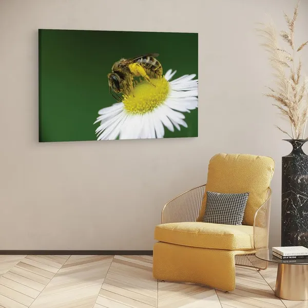 Multicolor_16_X_24_Inch,_Pine_Wood_Framed_Canvas_Paintings_|_For_Home_Decor,_Ready_To_Wall_Hanging,_Premium_Painting_|_For_|_Bedroom,_Living_Room,_Office_Wall_Decoration_|_Wall_Art_Painting,_Ct1672