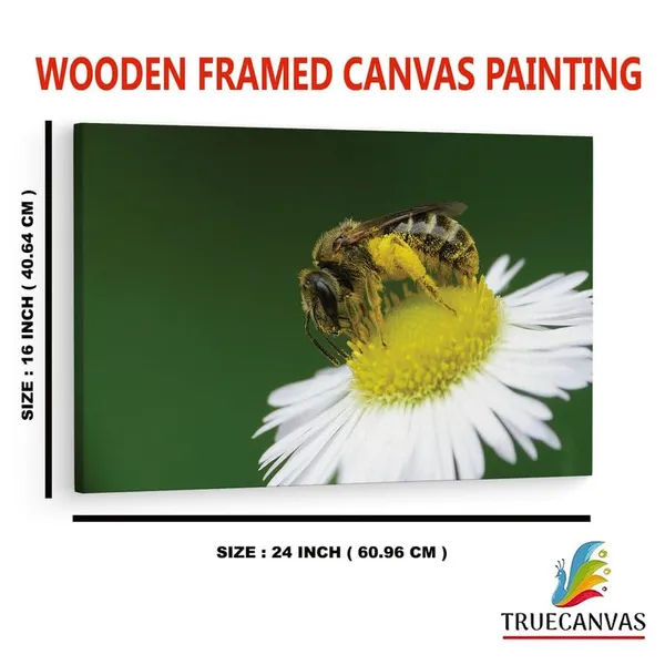 Multicolor_16_X_24_Inch,_Pine_Wood_Framed_Canvas_Paintings_|_For_Home_Decor,_Ready_To_Wall_Hanging,_Premium_Painting_|_For_|_Bedroom,_Living_Room,_Office_Wall_Decoration_|_Wall_Art_Painting,_Ct1672