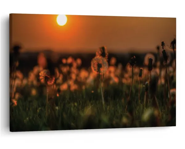 Multicolor_16_X_24_Inch,_Pine_Wood_Framed_Canvas_Paintings_|_For_Home_Decor,_Ready_To_Wall_Hanging,_Premium_Painting_|_For_|_Bedroom,_Living_Room,_Office_Wall_Decoration_|_Wall_Art_Painting,_Ct1674